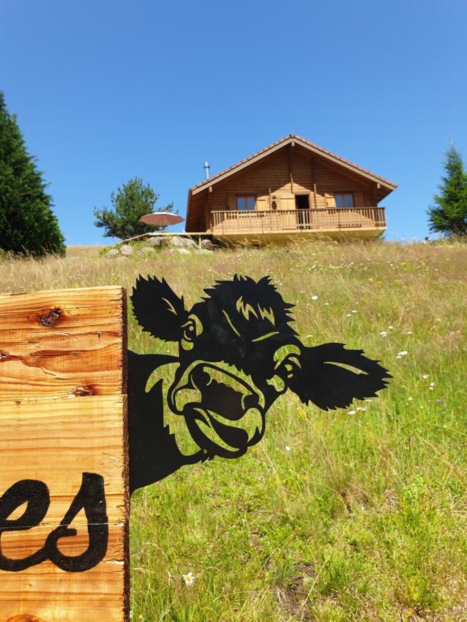 Chalet Les Vosgiennes Le Valtin Exterior photo