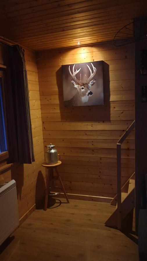 Chalet Les Vosgiennes Le Valtin Exterior photo